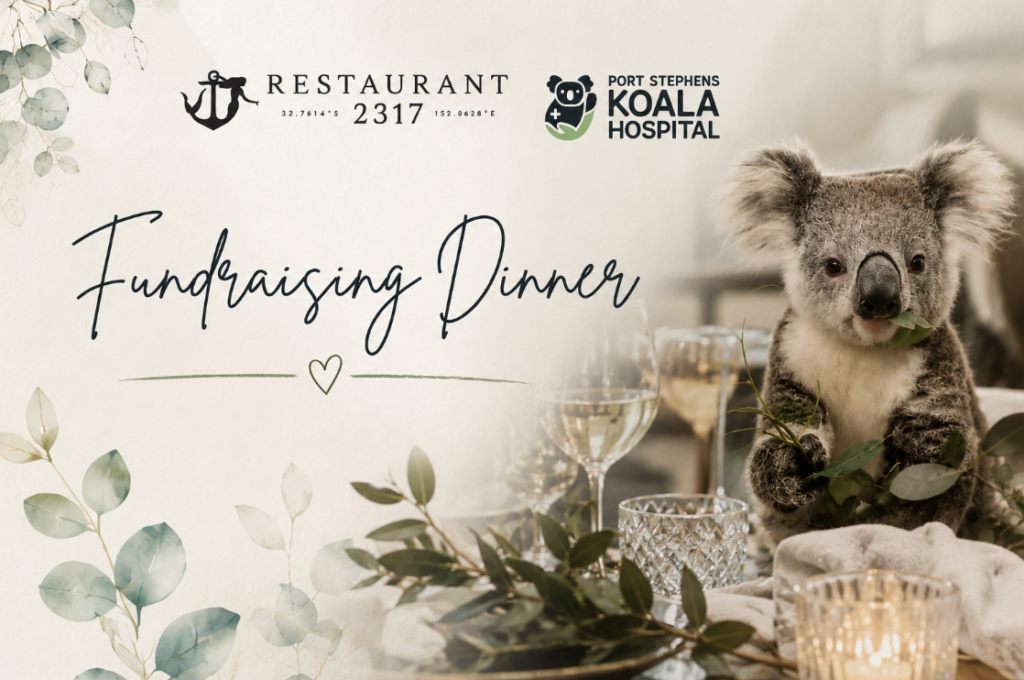 PSYC Koala Hospital